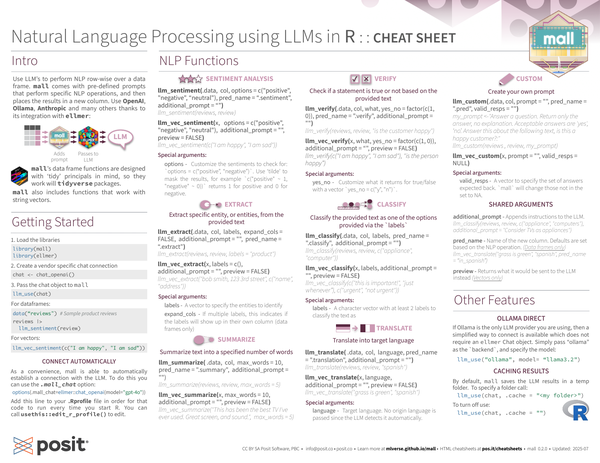 Natural Language Processing using LLMs in R & Python
