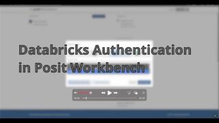 Databricks Authentication in Posit Workbench