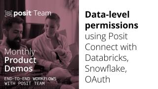Data-level permissions using Posit Connect (with Databricks, Snowflake, OAuth)